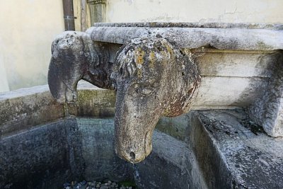 dsc07806-1.jpg