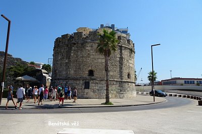dsc07909.jpg