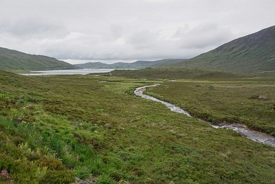 dsc08768-1.jpg