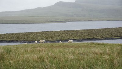 dsc08795-2.jpg