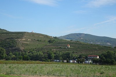 dsc08838.jpg