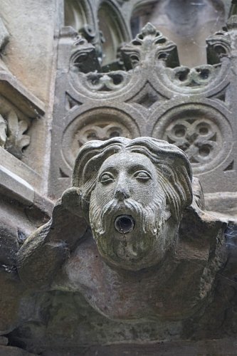 dsc09475.jpg