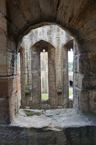 dsc09535.jpg