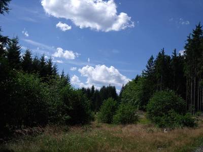 dscf6203.jpg