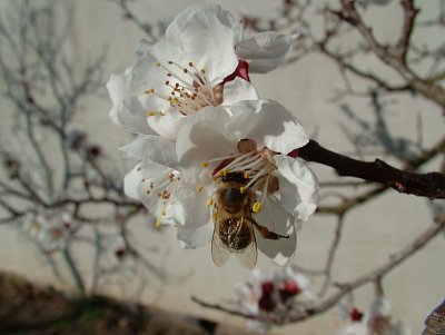 dscf6552.jpg