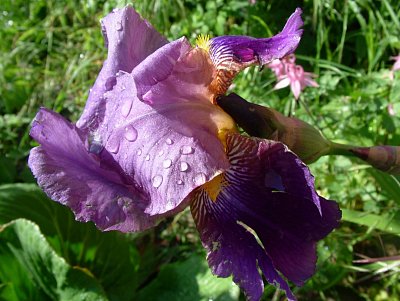 dscf7679-1.jpg