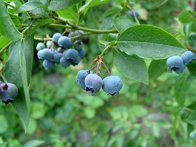 dscf7880-2.jpg