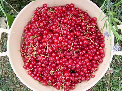 dscf8035-1.jpg