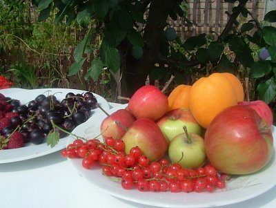 dscf8083.jpg