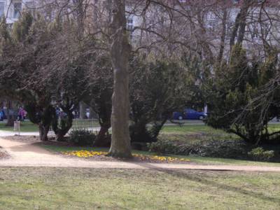 dscf8099.jpg