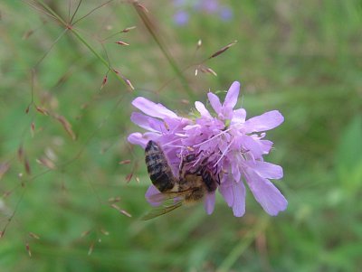 dscf8307.jpg