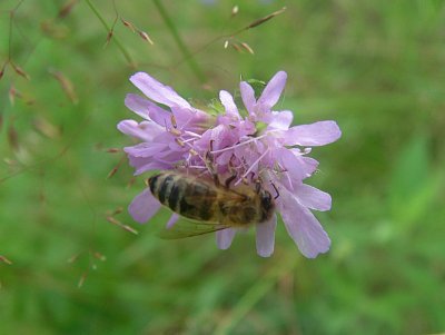 dscf8308-2.jpg