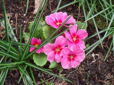 dscf8443.jpg