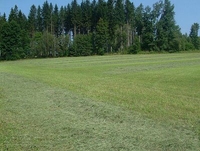 dscf8557-2.jpg