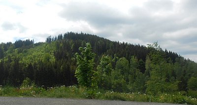 dscn0343-a.jpg