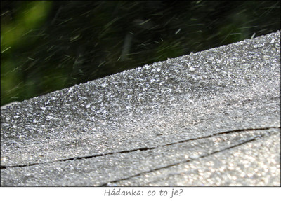 dscn0343.jpg