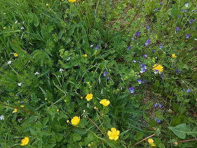 dscn0387-1.jpg