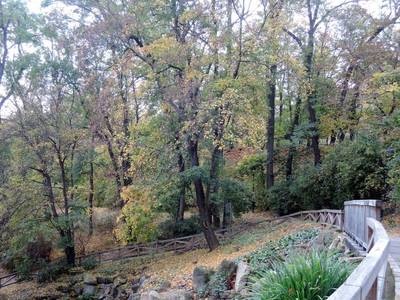 dscn0432-pohled-dolu-ood-vodopadu-1.jpg