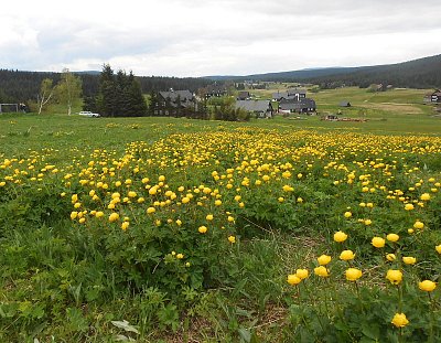 dscn0434-4.jpg