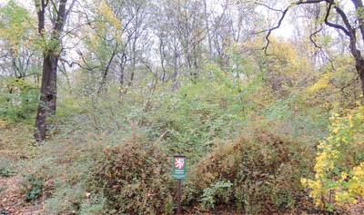 dscn0450-2.jpg