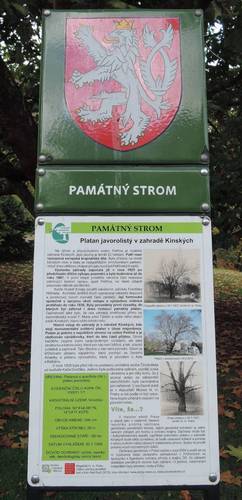 dscn0457a.jpg