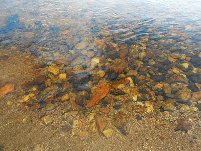dscn0461-1.jpg
