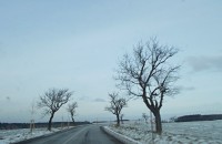 Pohled z auta