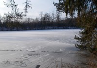 Nedělní