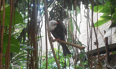 dscn1020-a.jpg
