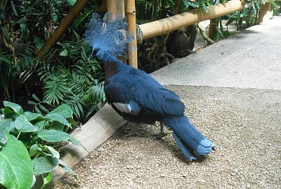dscn1023-a.jpg