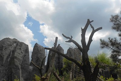 dscn1033-a.jpg