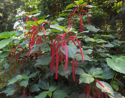 dscn1075-a.jpg