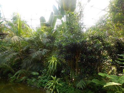 dscn1077.jpg