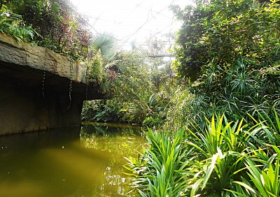 dscn1080-a.jpg