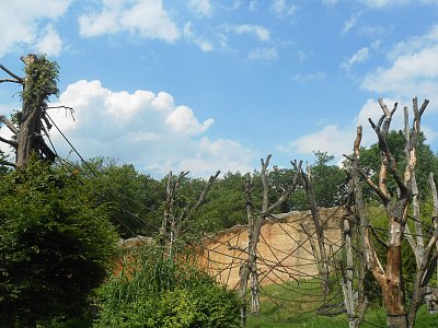 dscn1141-1.jpg