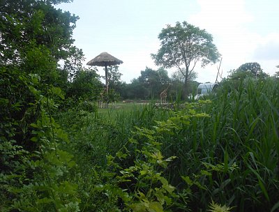 dscn1142.jpg