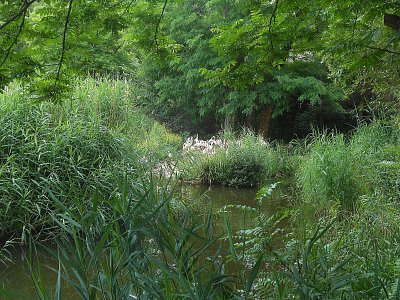dscn1144-1.jpg