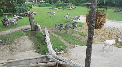 dscn1156-a.jpg