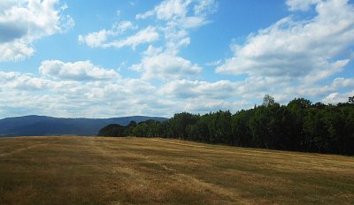 dscn1181-a.jpg