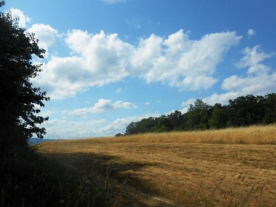 dscn1214.jpg