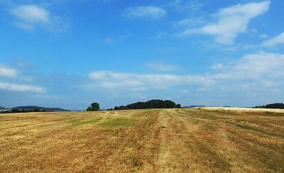 dscn1262-a.jpg