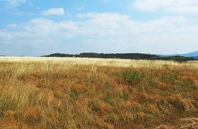 dscn1264-a.jpg
