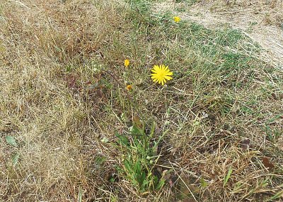 dscn1279-a.jpg