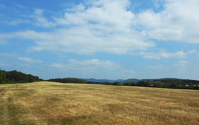 dscn1292-a.jpg