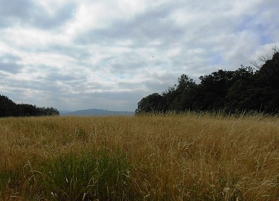 dscn1318-a.jpg