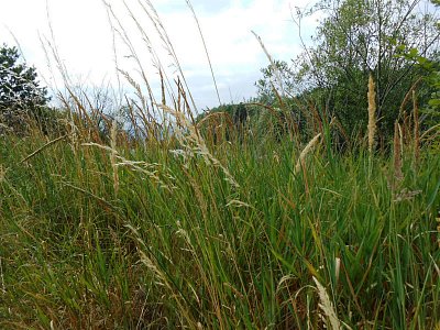 dscn1331-2.jpg