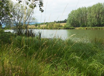 dscn1346-a.jpg