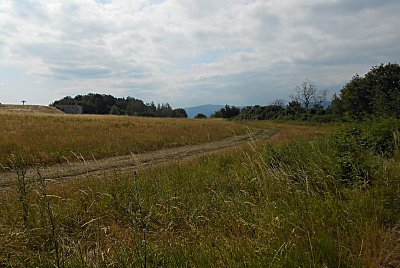 dscn1360-a.jpg