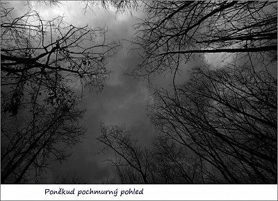dscn1377-1.jpg