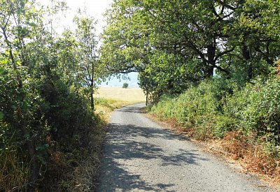 dscn1385-a-1.jpg